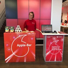 Stella bei der Arbeit